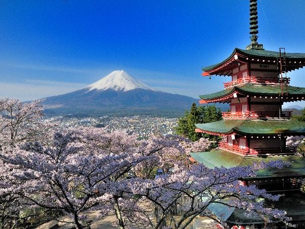 Fuji mountain