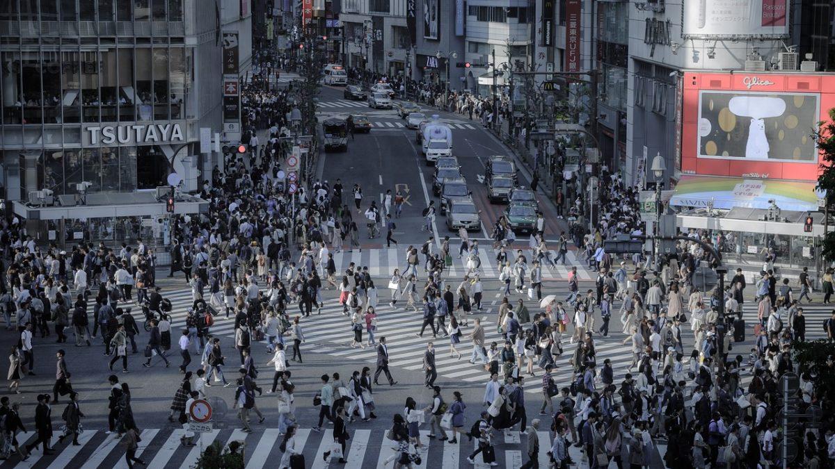 A Guide To Narita And Haneda Layovers And Tours Tokyo Travel Assist Enjoy The Local Experiences A Guide To Narita And Haneda Layovers And Tours Tokyo Travel Assist Enjoy The Local Experiences